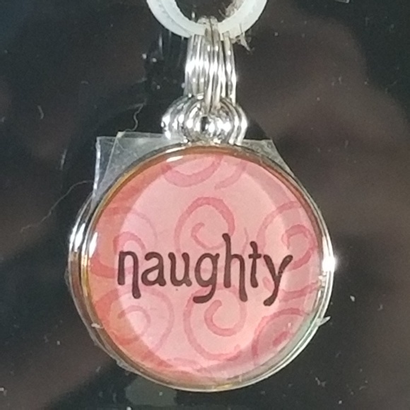 ✌ 5/$10 | Charm | Naughty | 1195 - Picture 1 of 1